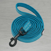 Truelove AirMesh Dog Lead - Blue