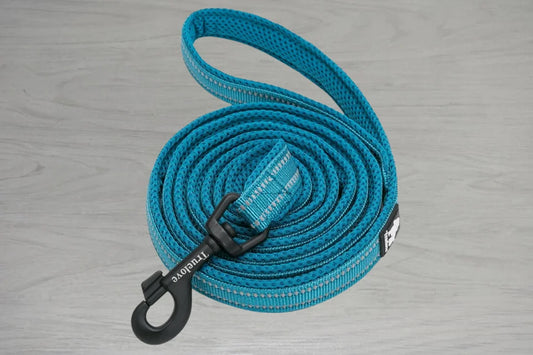 Truelove AirMesh Dog Lead - Blue
