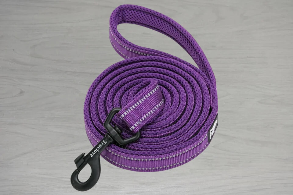 Truelove AirMesh Dog Lead - Purple