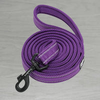 Truelove AirMesh Dog Lead - Purple