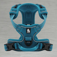 Truelove No Pull Harness - Blue
