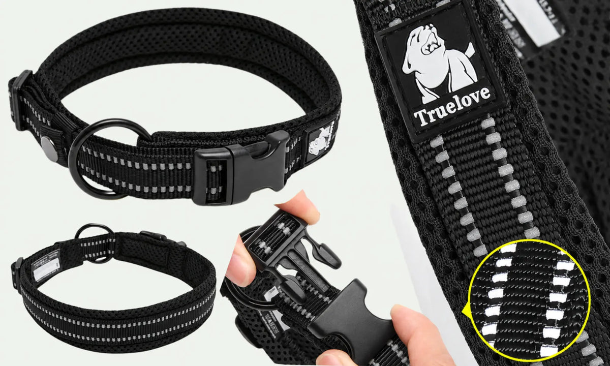 Truelove Padded Collar Black