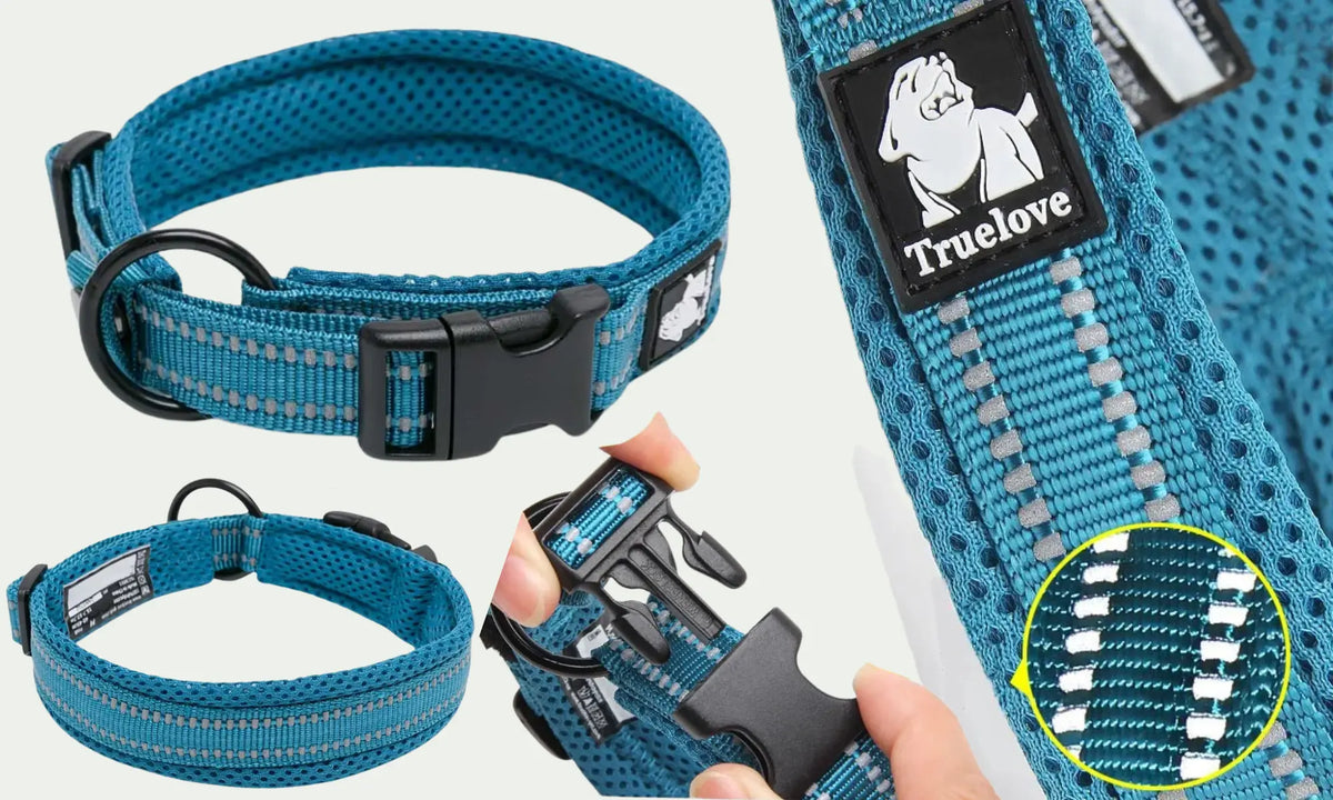 Truelove Padded Collar Blue