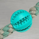 Tug 'N' Ball for Dogs