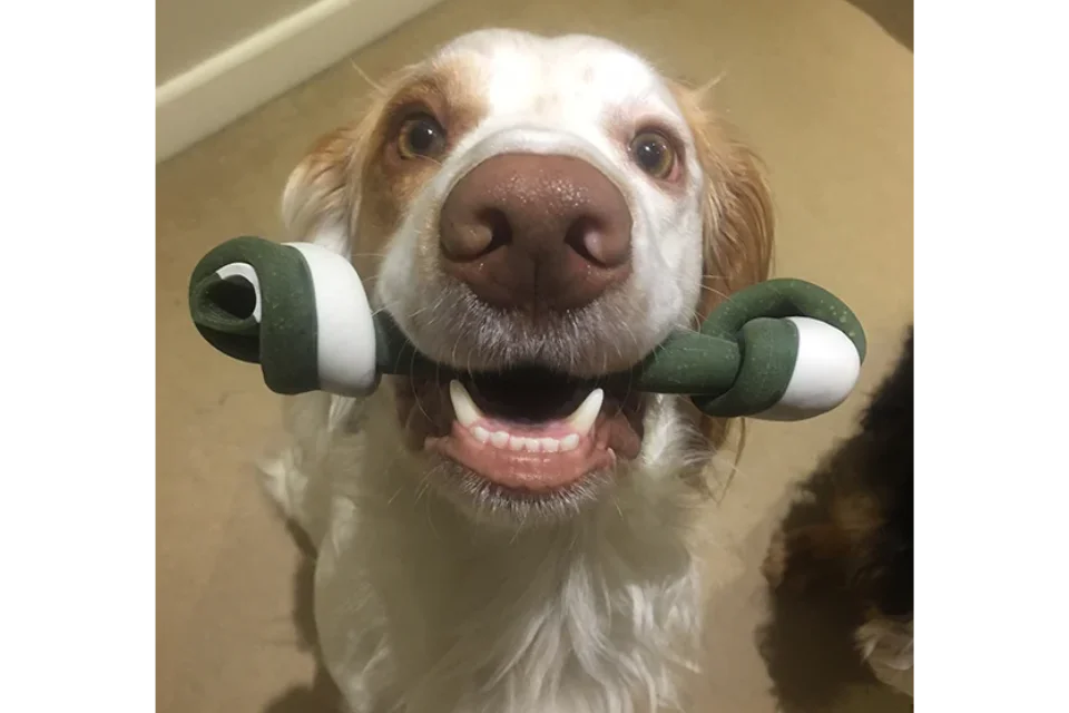 Veggie Knotted Bones for Dogs