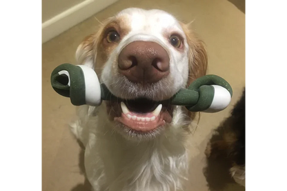 Veggie Knotted Bones for Dogs