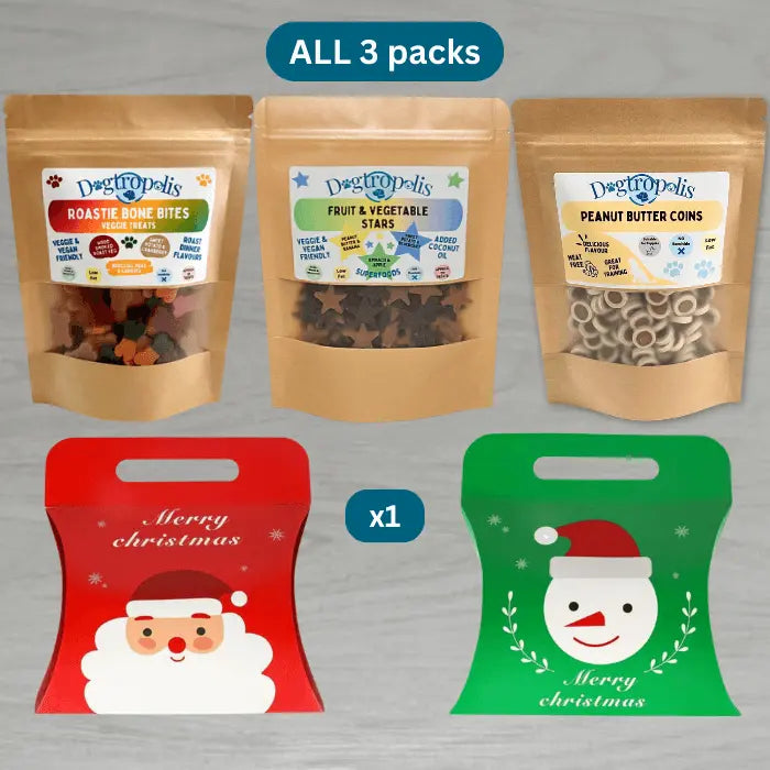 Veggie Treats in Festive Box