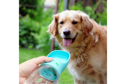 Dog with Water Bottle