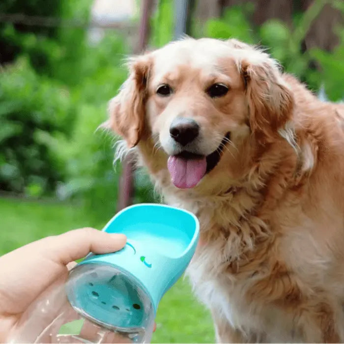 Dog with Water Bottle