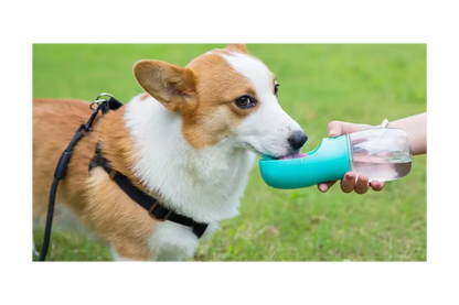 Dog drinking from Dogtropolis water bottle