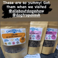Dogtropolis Training Treats