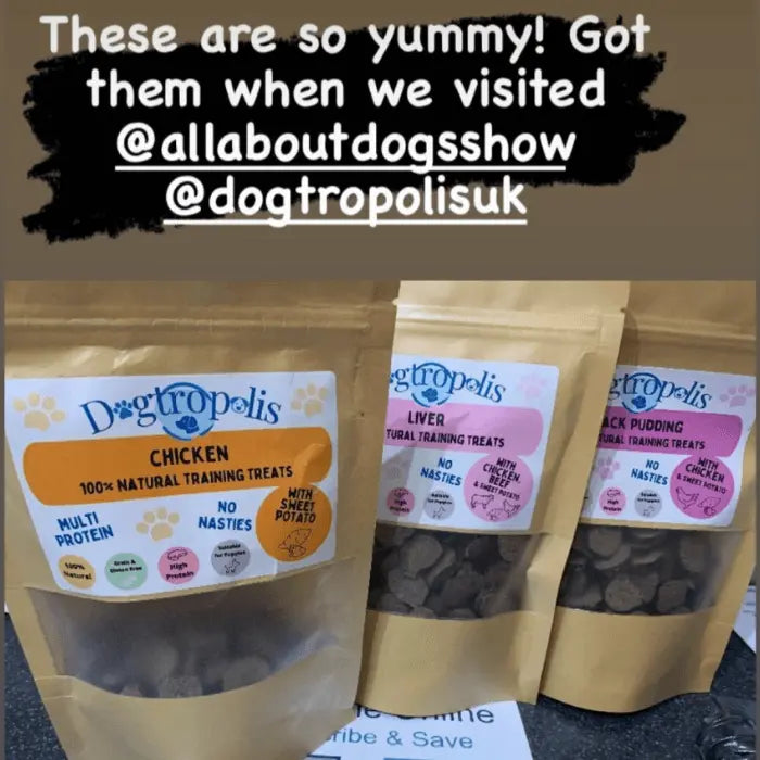 Dogtropolis Training Treats